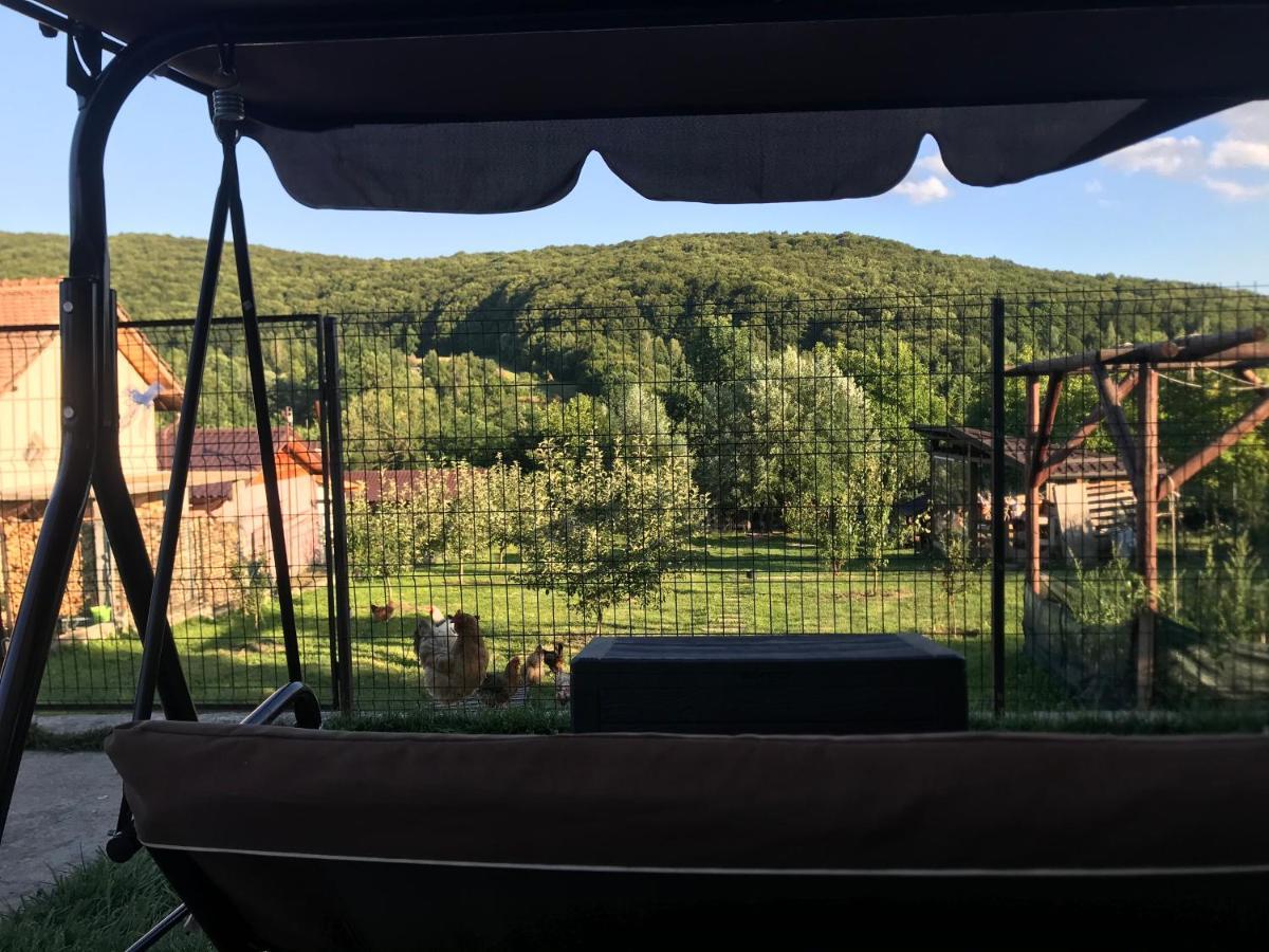 Apartament La Vila Curtea de Argeş Eksteriør bilde